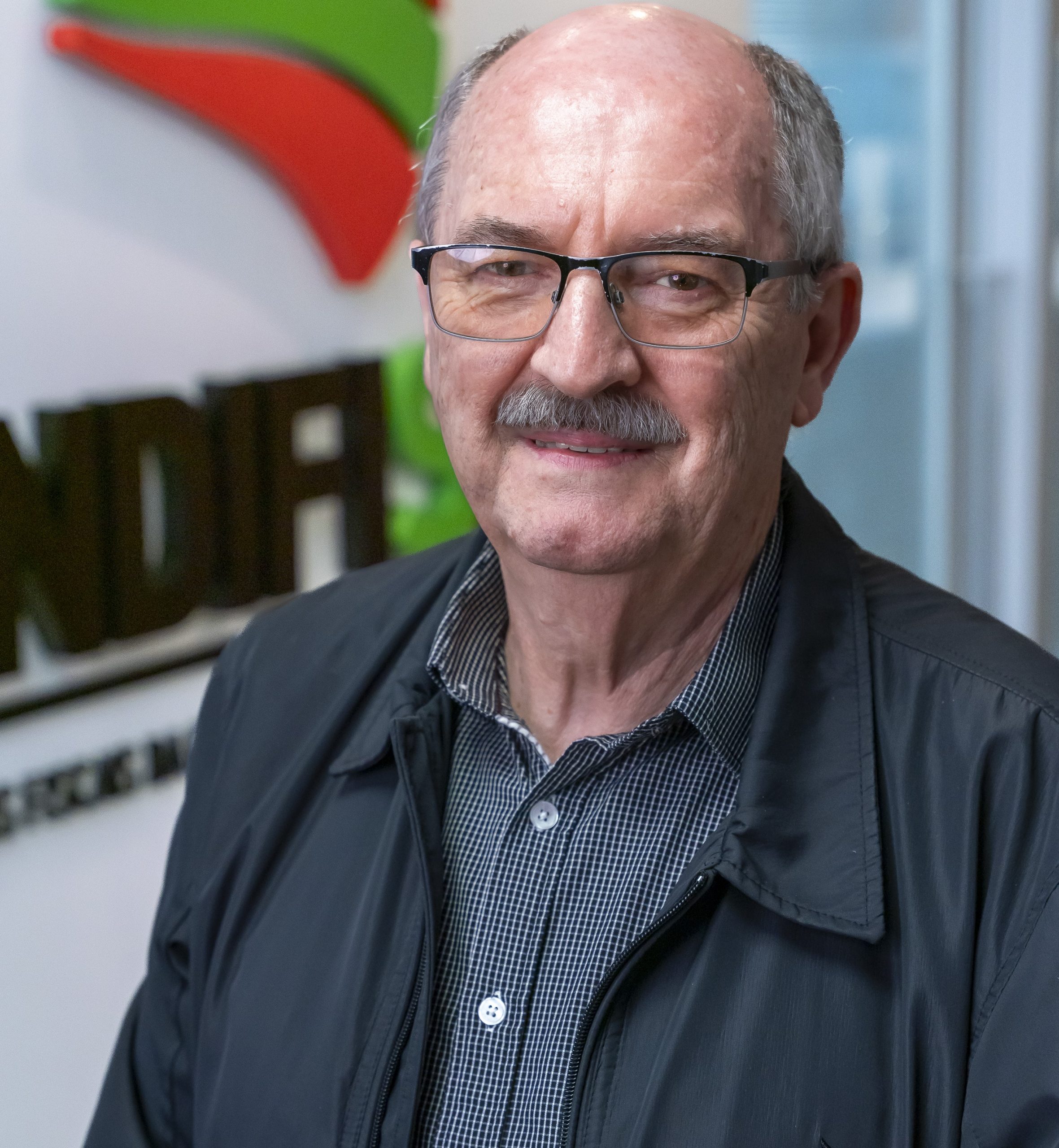 Inacio wolff 272 scaled