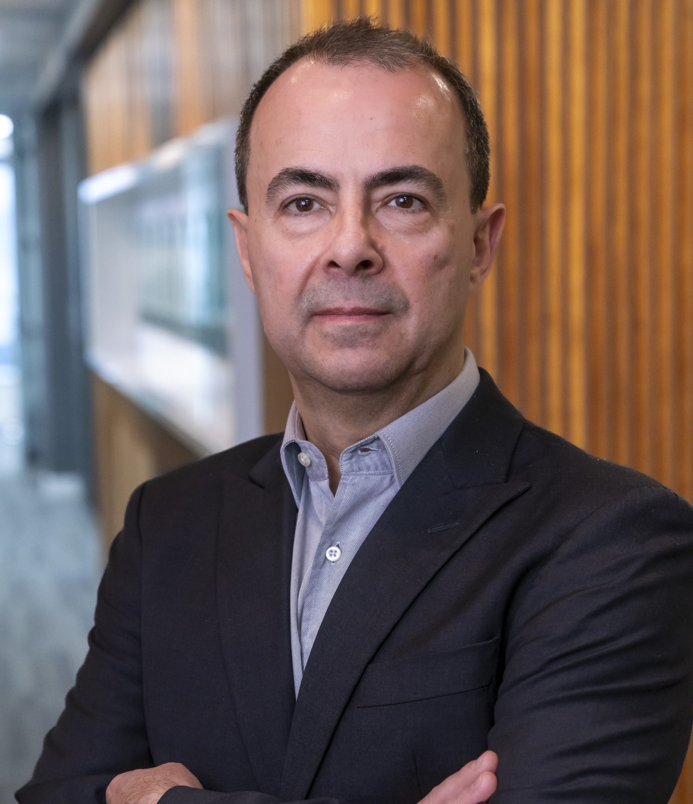 Pinetti wolff 374 scaled