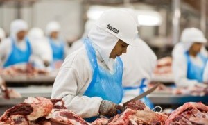 carne bovina credito divulgacaoabiec 300x225