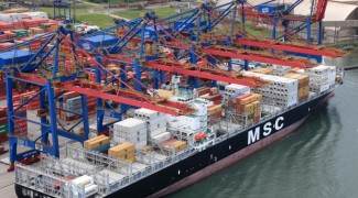 estudio58.com .br 0672