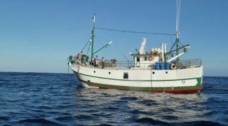 agricultura pesca retomada exportacoes uniao europeia 20190326 1970313593