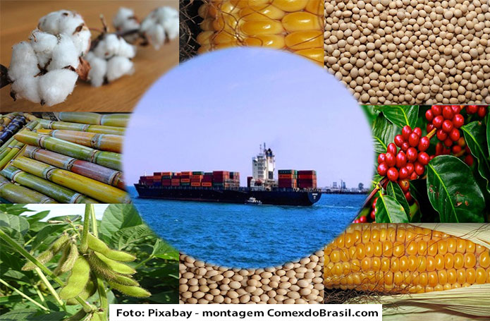 produtos agricolas exportados pelo brasil cafe milho sofa algodao agro produtosagro os mais exportados produtos agricolas