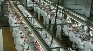 santa catarina amplia exportacoes de carnes em maio 20180612 1294538914
