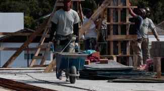 50331413156 41e605d7d9 k