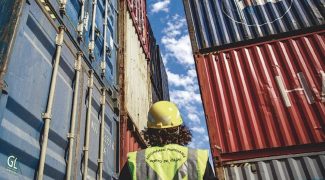 exportacoes diorgenes pandini