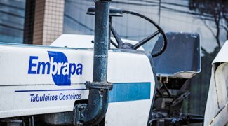 bancoImagemSco AP 509471
