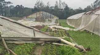 Seis culturas agricolas e transporte de leite sao afetados por chuvas 2 944x531 1