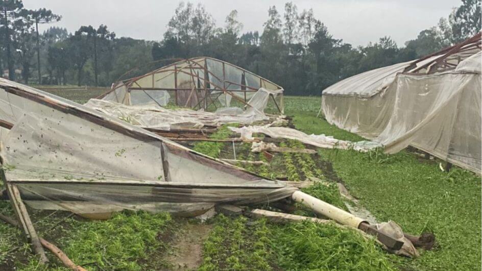 Seis culturas agricolas e transporte de leite sao afetados por chuvas 2 944x531 1