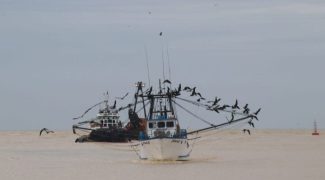 navio em porto PESCA