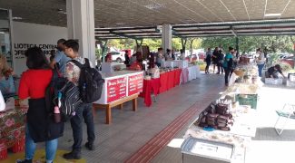 divulgacao sicos economia solidaria