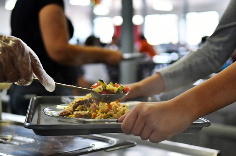 Comércio e serviços somam 65,3% dos empregos formais em SC 1 self service restaurante servicos