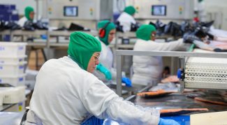 industria pescados Foto Roberto ZacariasSECOM