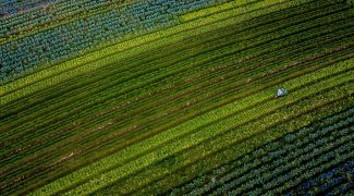 agricultura Foto Ricardo Wolffenbuttel Secom GOVSC