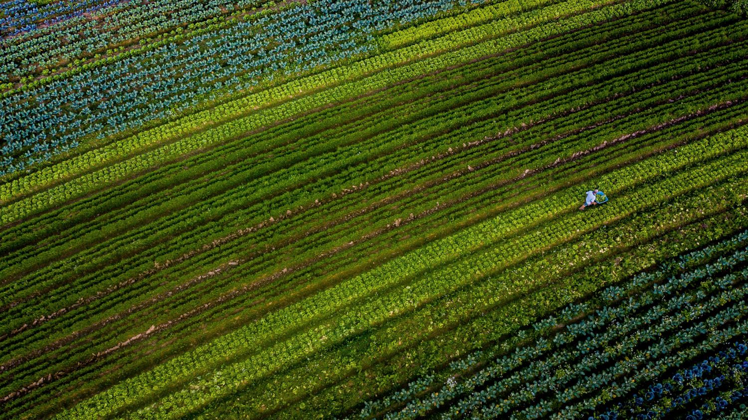 Governador de Santa Catarina alerta para impactos na economia com taxação sobre letras de crédito 1 agricultura Foto Ricardo Wolffenbuttel Secom GOVSC