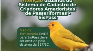 criadores amadoristas