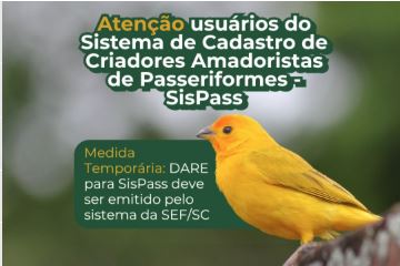 criadores amadoristas