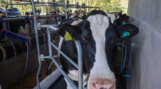 1753920631589 tri 8857 1