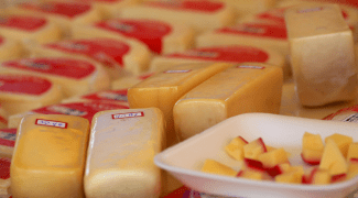 Queijo imagem para uso em materia