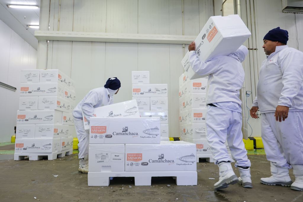 industria de pescador Frumar 6843 Roberto Zacarias